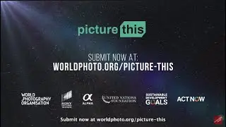 Sony Pictures Television | Picture This