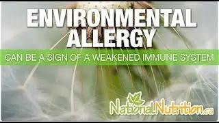 Environmental Allergy - Weak Immune System Symptoms - Natural Health Reviews Canada