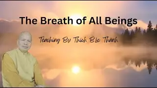 The Breath of All Beings - Teaching by Thich Bao Thanh