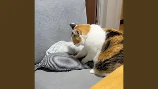 もみもみシンセサイザー