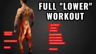 Complete Leg Training | Muscle Definition & Mobility Benefits