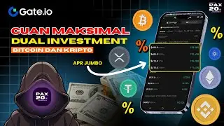 CUAN MAKSIMAL Pakai Strategi Dual Investment di Gate io
