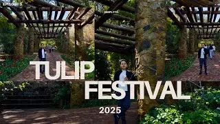 Walking Through a Sea of Flowers &ndash; Tulip Festival 2025