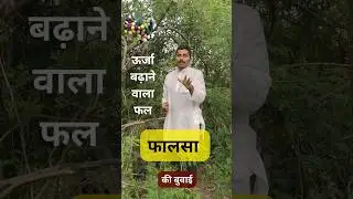 फालसा की खेती |