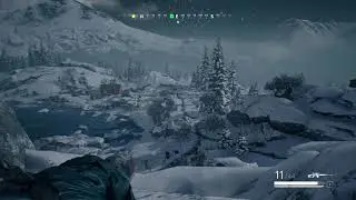 Vigor SVD