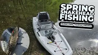 Snakehead, Walleye and Bass on Burke Lake