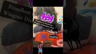 Proudhon In Manhattan - Wingnut Dishwashers Union : mini guitar cover