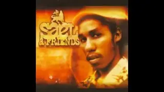 Sael, Friends - R&Eacute;D (feat. Pleen Pyroman)