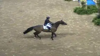 Video of Meredith Michaels-Beerbaum getting behind Shutterfly and falling.