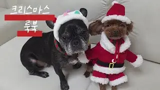 미리보는 크리스마스 연말룩 코디 추천 ☃️🌲 Christmas lookbook