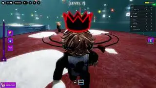 Playing roblox sky fighters and getting colton to level 50 in rivals to play ranked