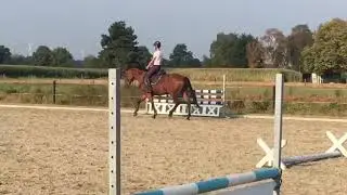 Ricolette V Arezzo x Numero uno