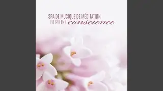 Zone de relaxation