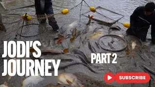 Jodi's Journey: Part 2