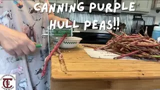 How to Can Purple Hull Peas