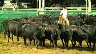 John Howe, AACC Emerald Horse Instructor