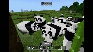 /Minecraft panda
