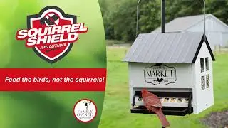 Squirrel Shield Hopper Feeder | Squirrel Proof Bird Feeders | Nature's Way Bird Products