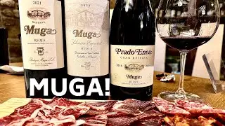 Bodegas Muga: What Every Wine Collector Needs to Know!