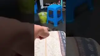 Confusing behavior of cats#Foryou #funnyvideo #Funny #funnytiktok #funnycat #cat #catsoftiktok