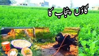 Village life in Punjab | village life in Pakistan | village life