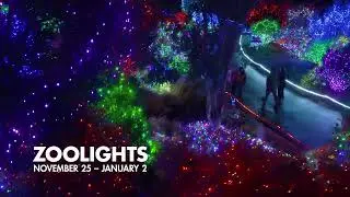 Experience the Magic of Zoolights