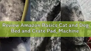 Review Amazon Basics Cat and Dog Bed and Crate Pad, Machine Washable, Indoor, 23 x 18 x 2.5 inches,