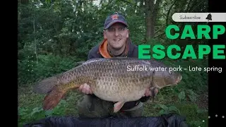 Suffolk water park - late spring - CARP ESCAPE - Carp fishing 2024