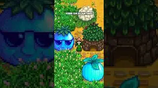 Giant Crops in #StardewValley can be yours with these tips!