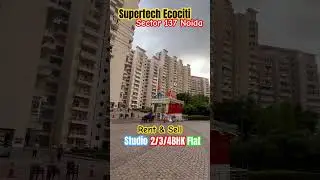 Most affordable housing Societies in Noida | Flats for Rent & Flats For Sell | #mostviewdshortsonyt