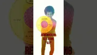 RIP Sly Stone: A Musical Prodigy #slystone #stand #funk #60s #music