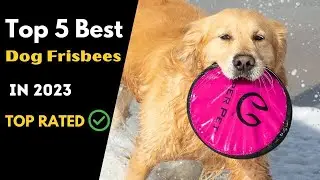 Best Dog Frisbees On Amazon 2023 | Top 5 Dog Frisbees Review | Best Buy Amazon