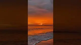Orange Sea | #shorts #orangesea #ytshorts 😍