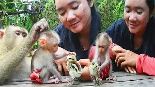 SokYaa And Mother Meet Baby Chicks for the FIRST TIME! ADORABLE REACTION