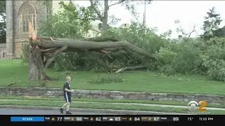 Damage Reported Across Westchester County After Tropical Storm Isaias
