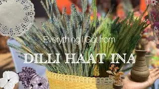 DILLI HAAT HAUL | DELHI | STOP AND SHOP 