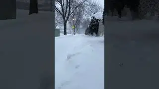 From Cozy to Freezing: A Walk on a Snowy Sidewalk! ❄️