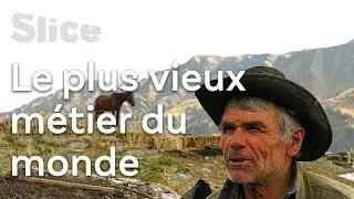La rude vie d’un berger des montagnes de Géorgie I SLICE