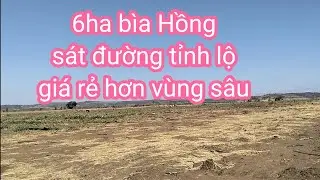 Thực tế 6ha bìa Hồng 5 ha ngay khu dân đang phát triển, đất phù hợp trồng các loại cây