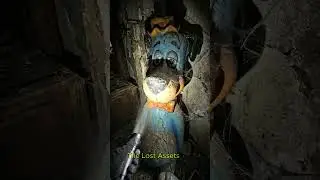 The Rotting Studio A Dark Nostalgia Exploration Scooby & Mickey
