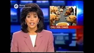 Chill cheese dogs?
