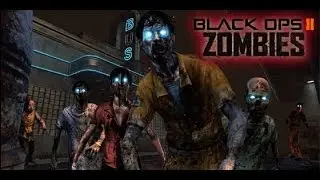 BO2 Zombies: Tranzit Round 17