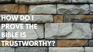 Your Questions, Honest Answers: 