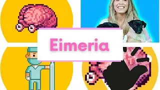 Protozoários- Eimeria