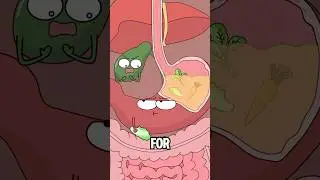 Why does your mouth taste bitter after eating?#animation #funny #shorts