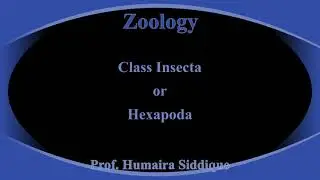Class Insecta or Hexapoda: XI Sc.|Prof.Humaira Siddique