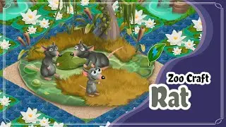 ZOO CRAFT RAT Review !