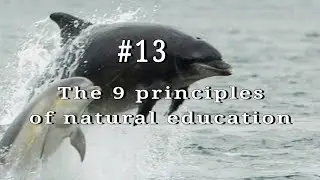 #13 The 9 Principles of Natural Education 