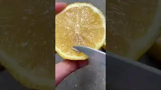 Как вырастить тонны лимонов в горшке. Три года пролетят быстро, обещаю 🍋 #howtowithjessie