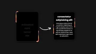 How To Create Responsive Card Hover Effect With Border Animation Using HTML & CSS